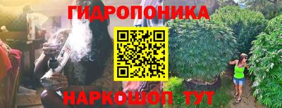 молекула духа Среднеуральск