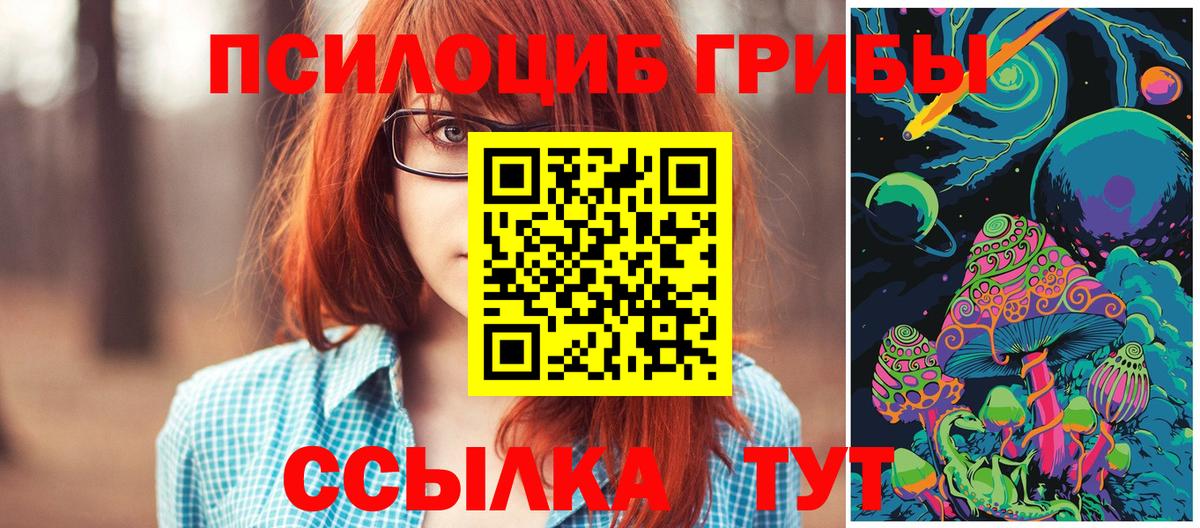 Спасск-Дальний  Псилоцибиновые грибы мухоморы  Вход с VPN 